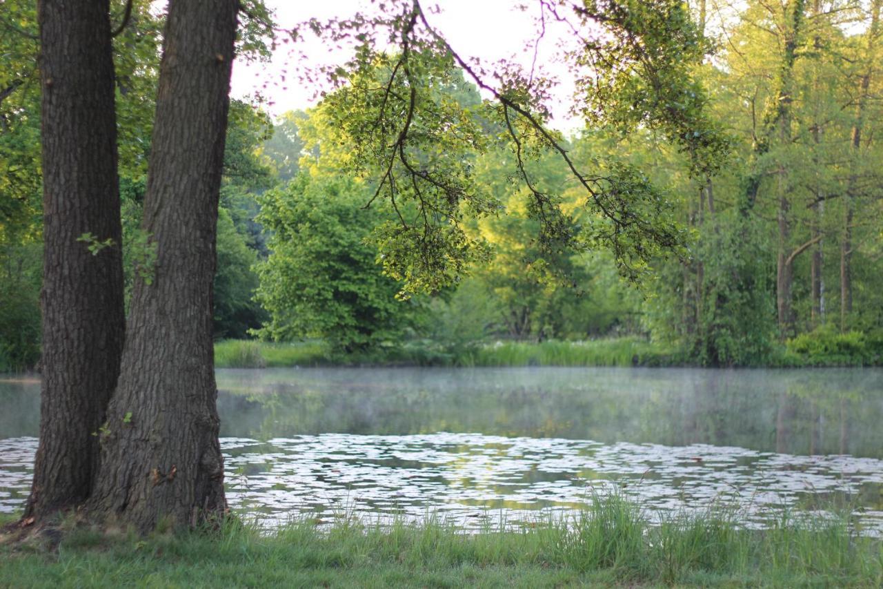 Gasthof Zur Friedenseiche Lohsa Exteriör bild